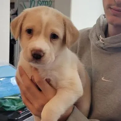 Instructions thumbnail 4