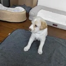 Instructions thumbnail 6