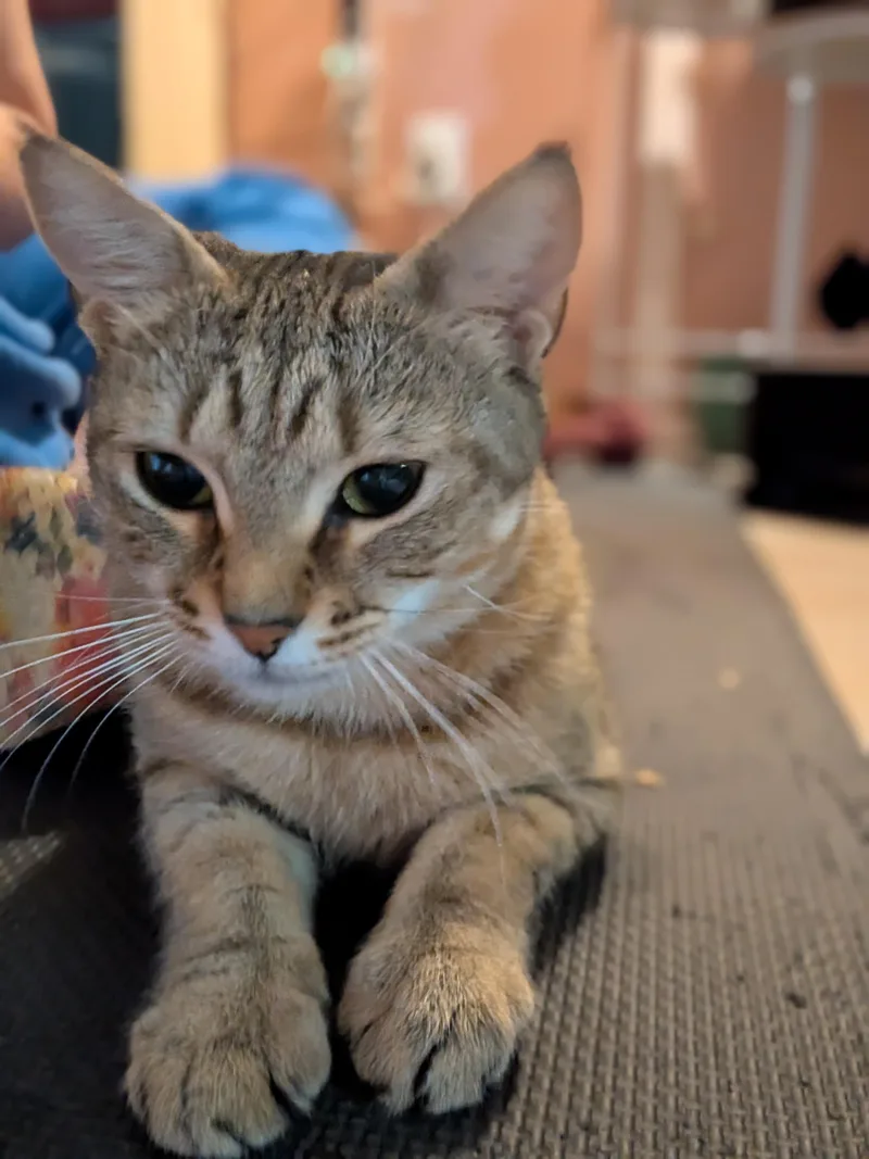 Zoe thumbnail 5