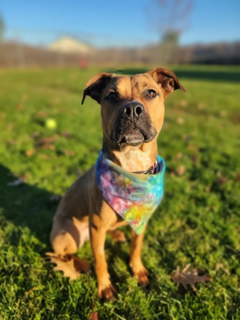 Sandy thumbnail 5