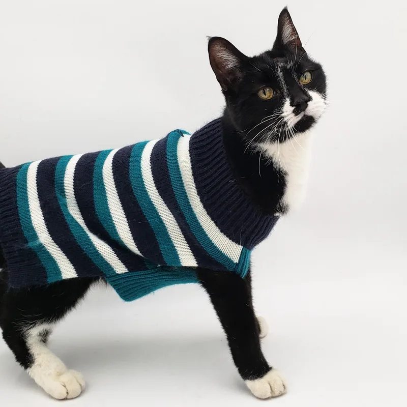 James Bond thumbnail 2