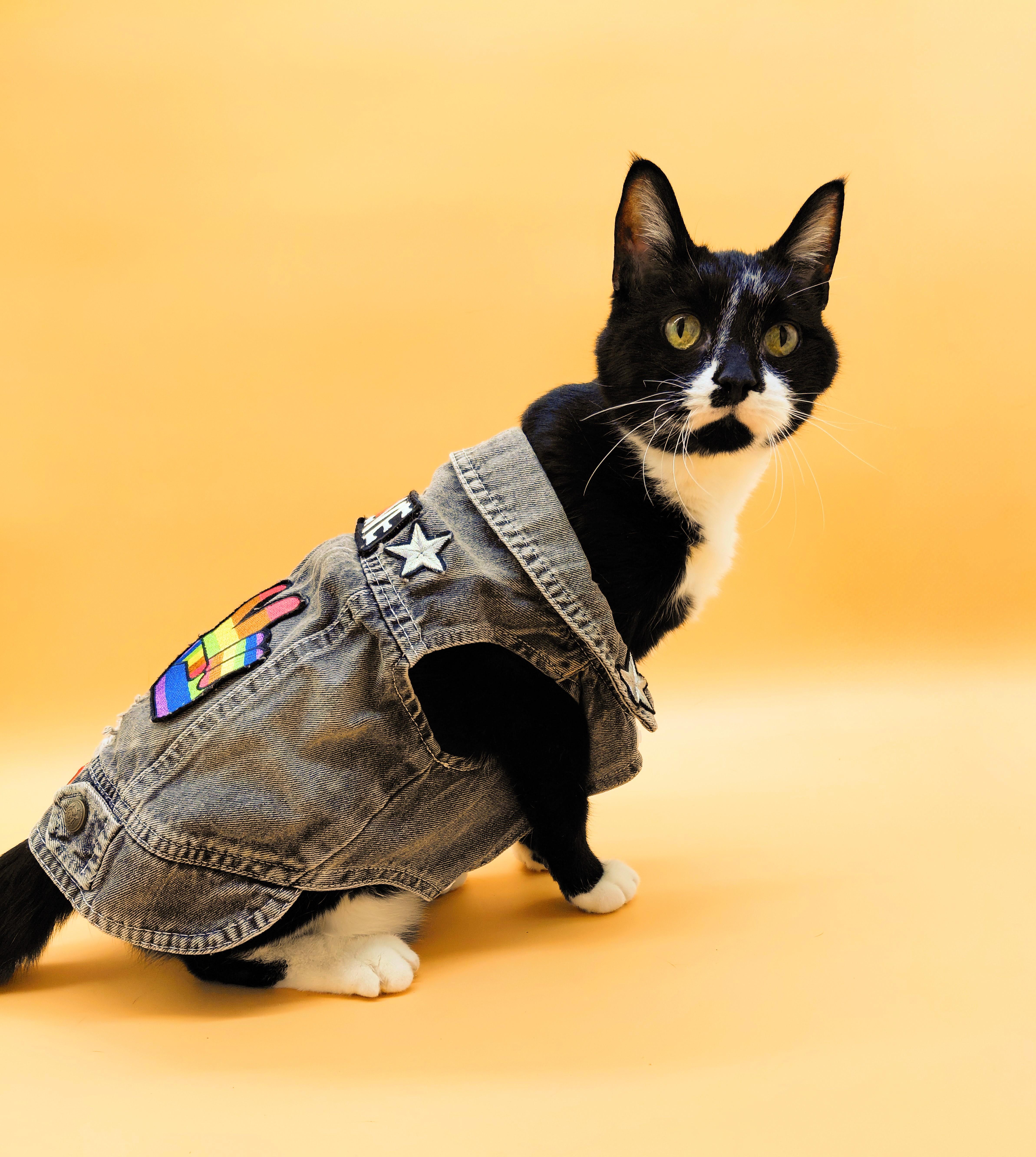 James Bond thumbnail 4