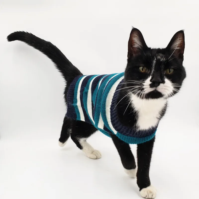 James Bond thumbnail 5