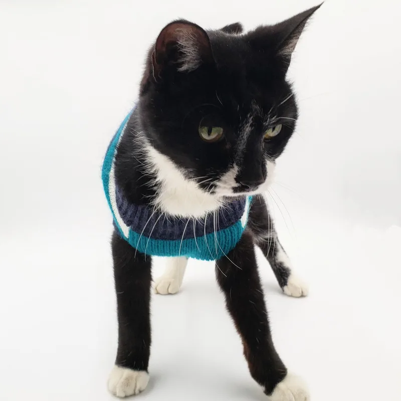 James Bond thumbnail 6