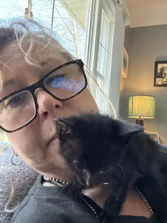 A baby small-sized male Black Domestic Short Hair cat named Fry for adoption in Grand Rapids, MI