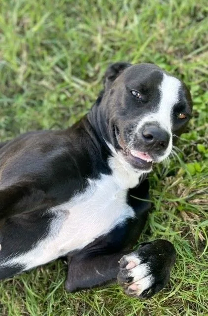 Tina Turner thumbnail 2