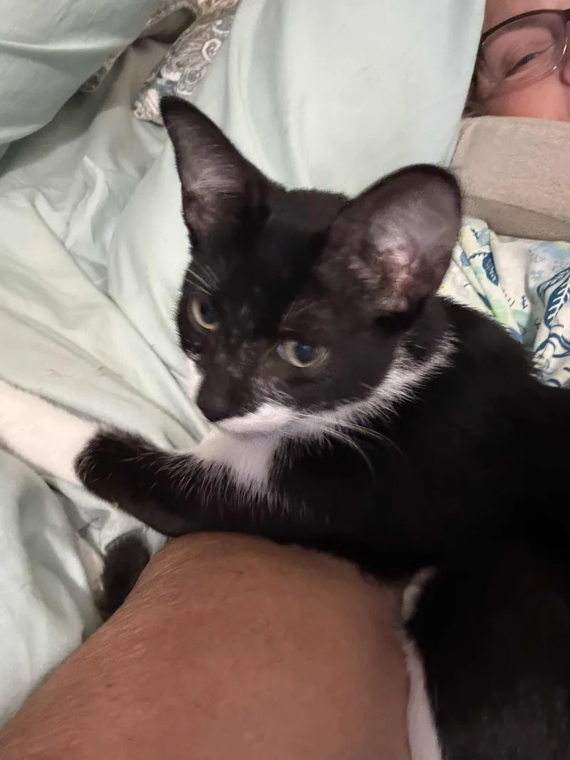 Charlie thumbnail 2