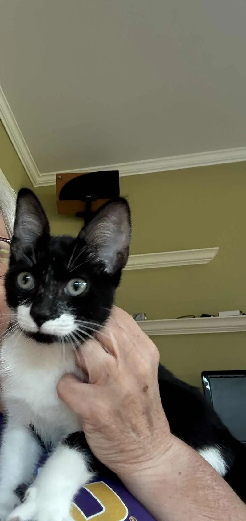Charlie thumbnail 3