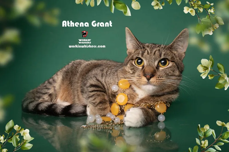 Athena Grant thumbnail 2