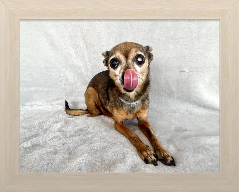 Ella Belle thumbnail 2