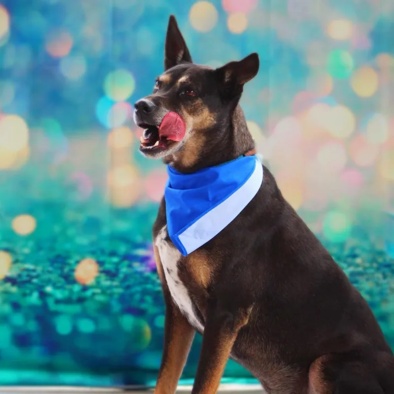 Tinka Jum thumbnail 2