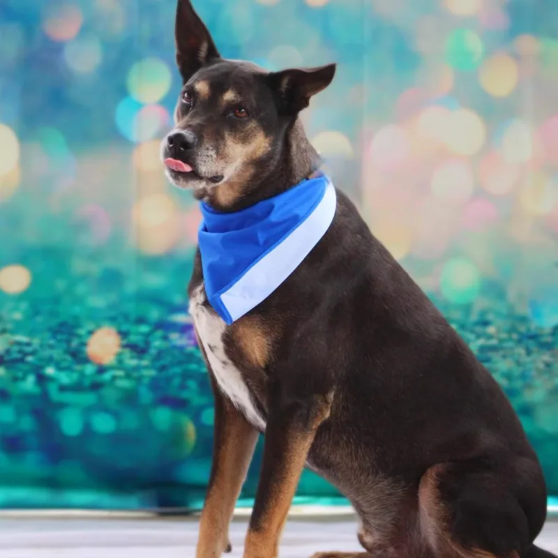 Tinka Jum thumbnail 3