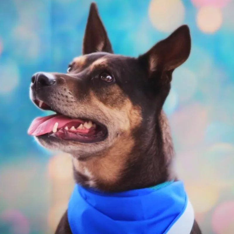 Tinka Jum thumbnail 4