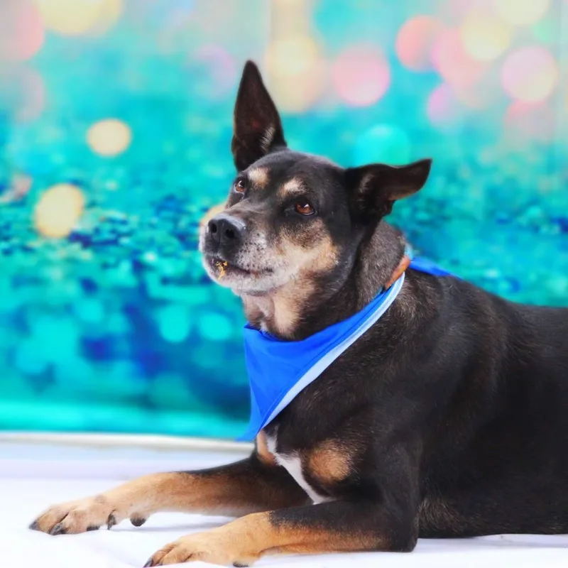 Tinka Jum thumbnail 5