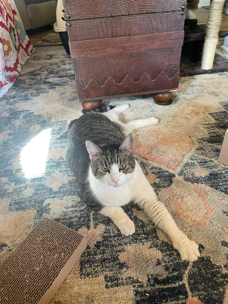Jasper