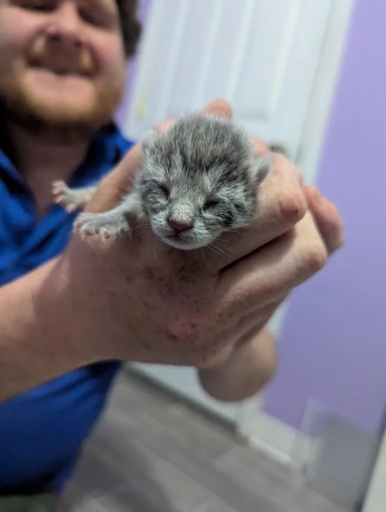 Chunky Monkey thumbnail 2