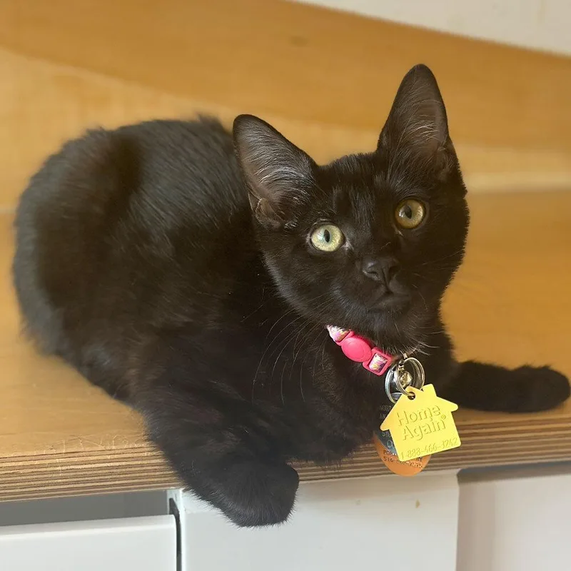 Mia