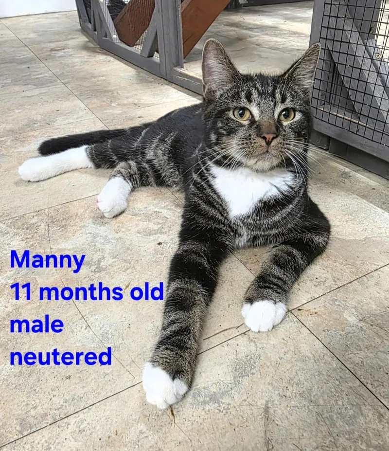 Mannie