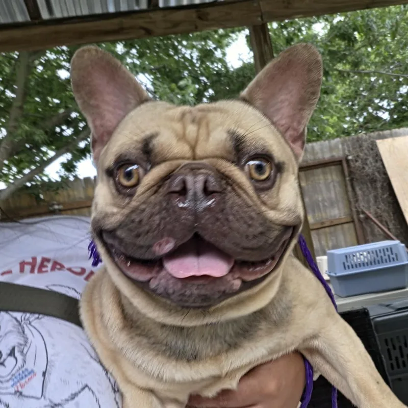 Monty