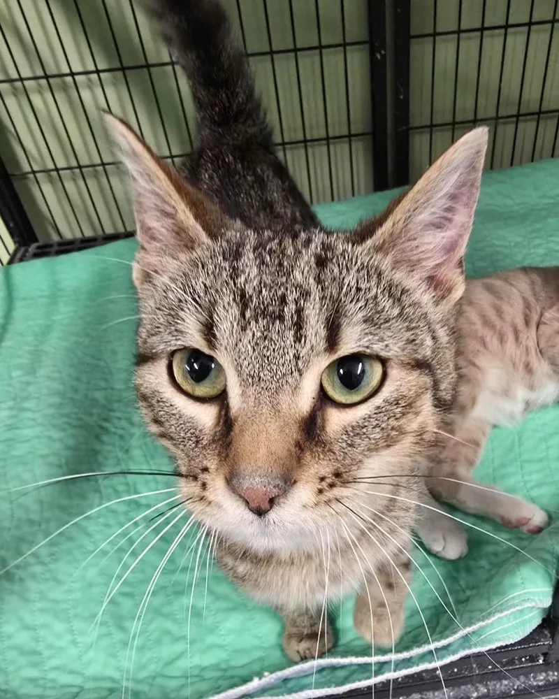 Method Man thumbnail 2