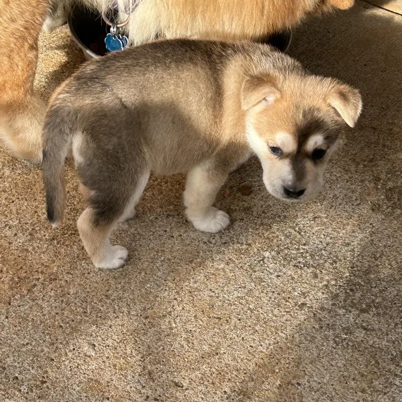 Mcconville thumbnail 2