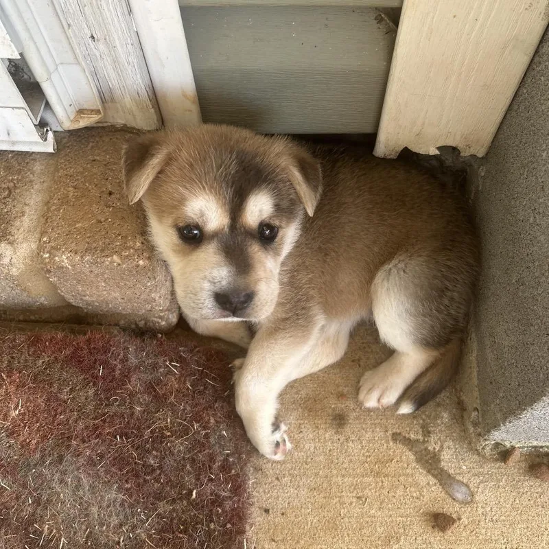 Mcconville thumbnail 6