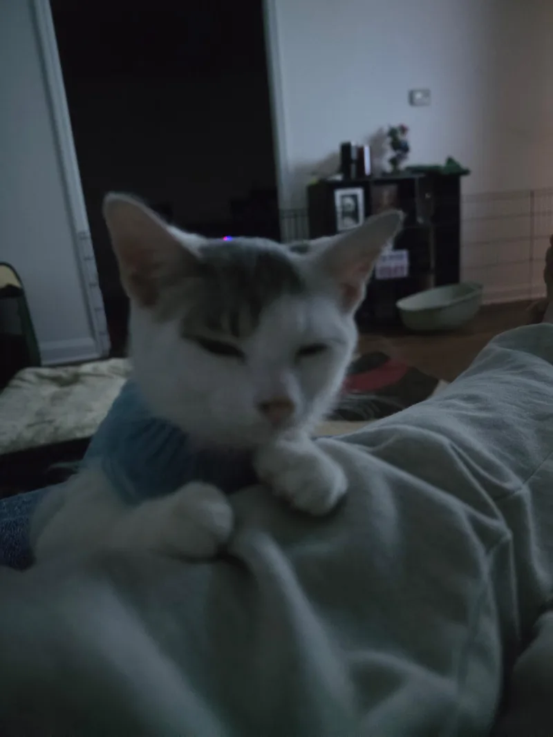 Shelby and Tessie thumbnail 2