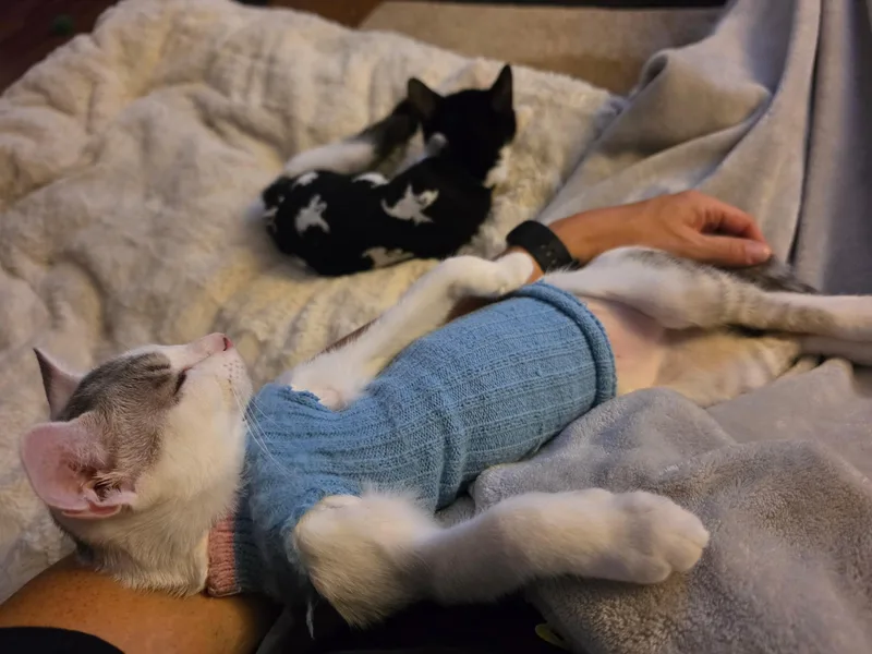Shelby and Tessie thumbnail 4