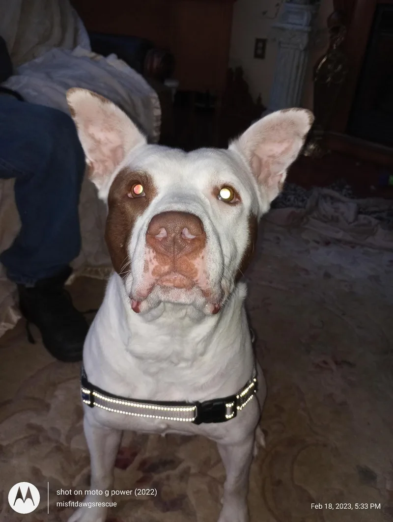 Sparkles thumbnail 2