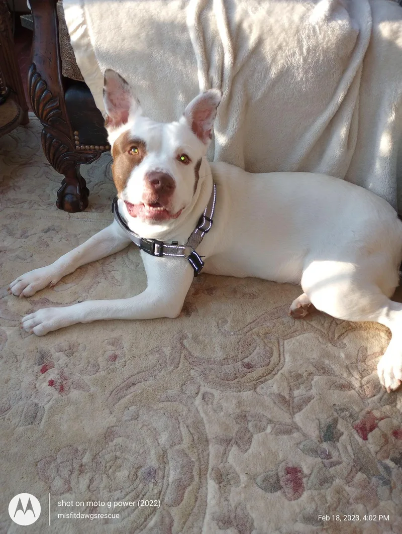 Sparkles thumbnail 3