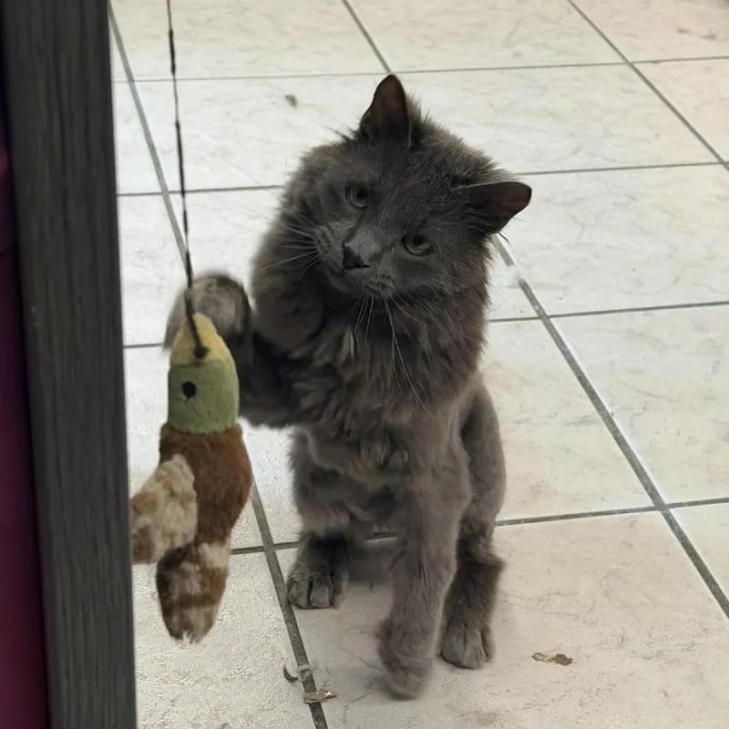 Ghost Bahr thumbnail 3