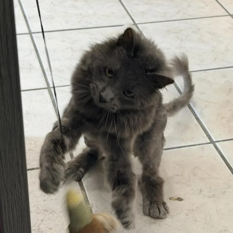 Ghost Bahr thumbnail 5