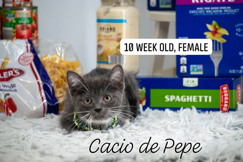 Cacio e Pepe thumbnail 2