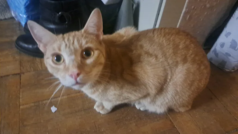 Mile’s thumbnail 3