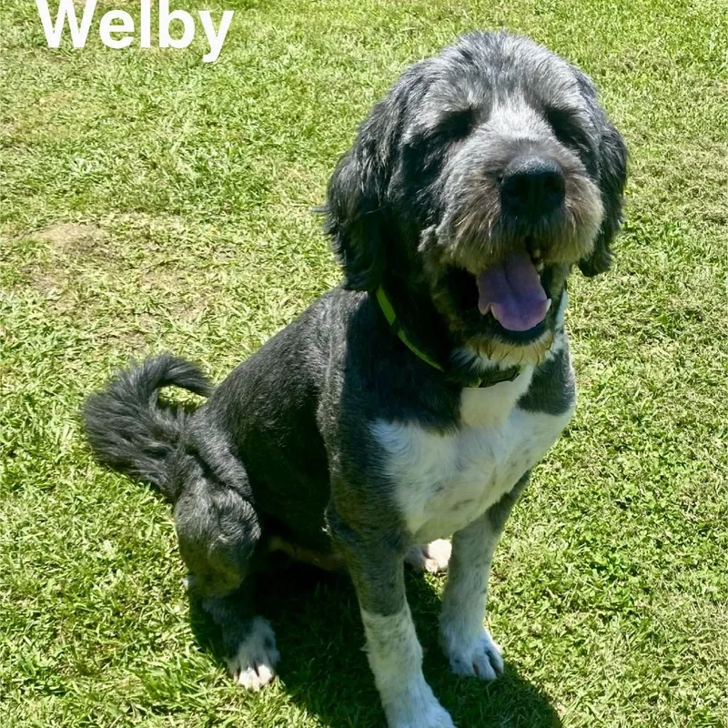 Welby