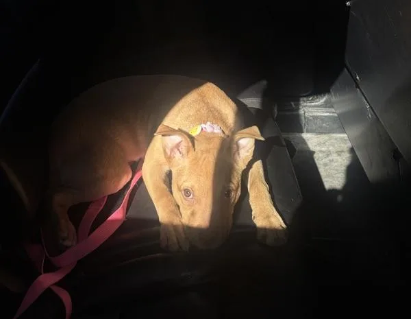 Sunny Ray thumbnail 2