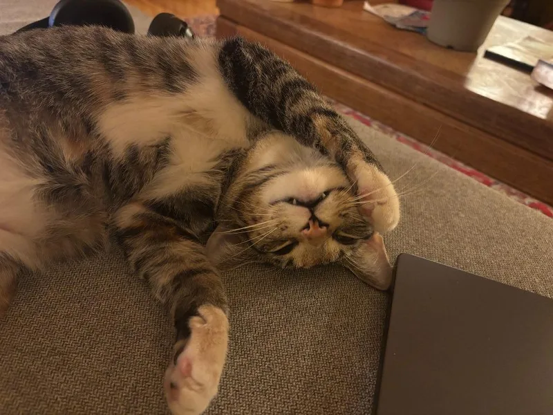 Fierano Longer Accepting Apps thumbnail 2