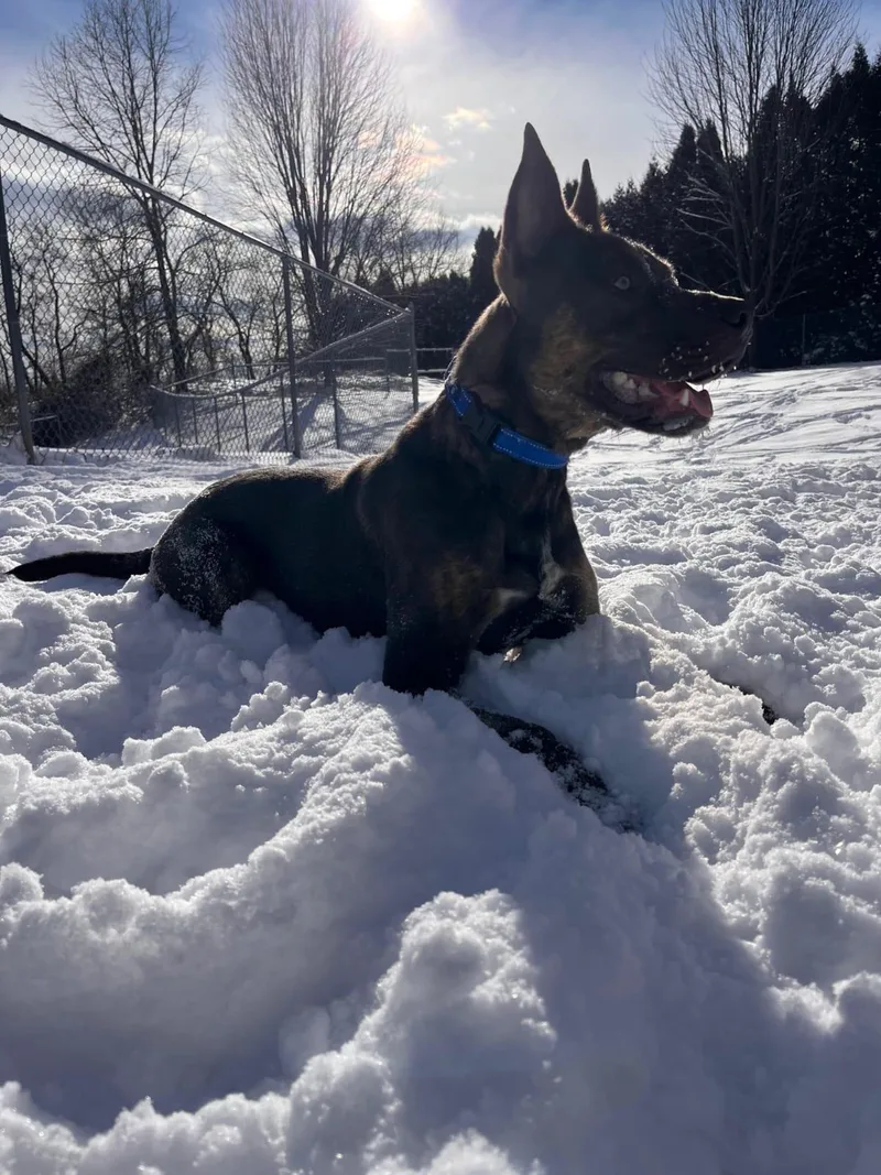 Quilliam thumbnail 2