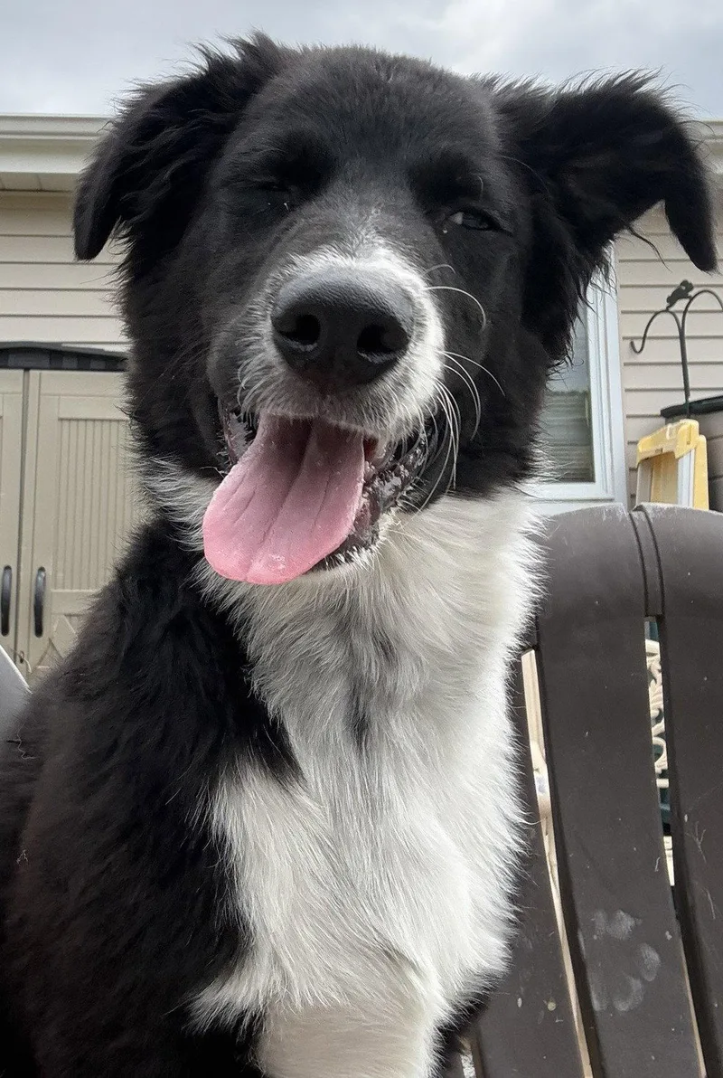 Jack