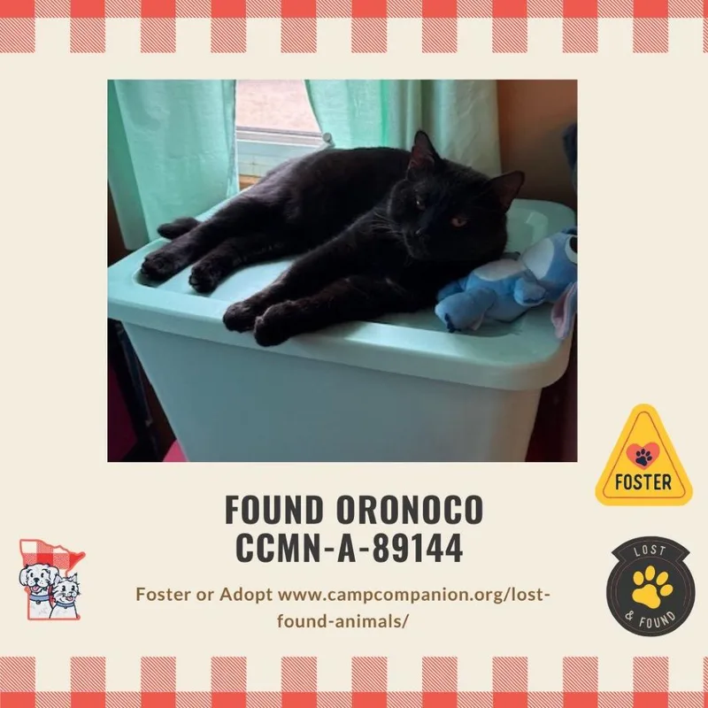 Midnights thumbnail 4