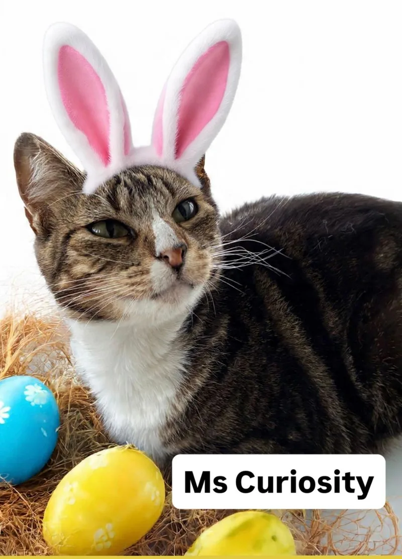 Ms Curiousity At Martinez thumbnail 2