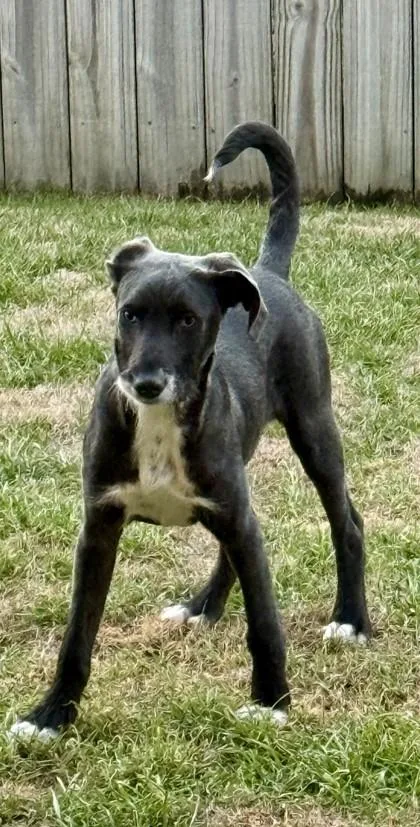 Hollypuddinpants thumbnail 2