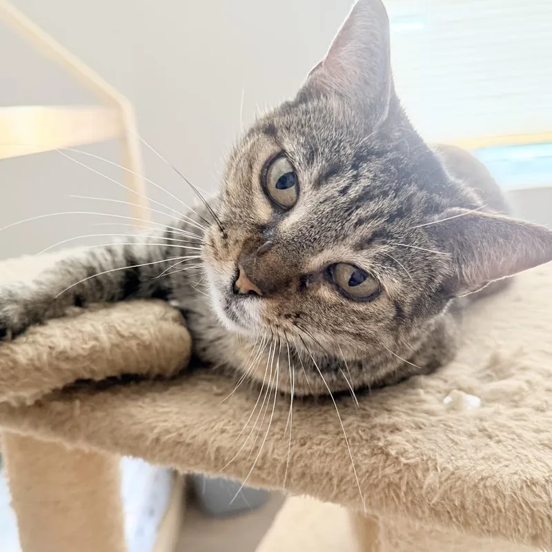 Maryanne thumbnail 2