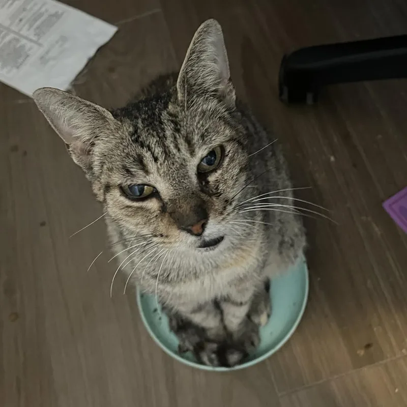 Maryanne thumbnail 3