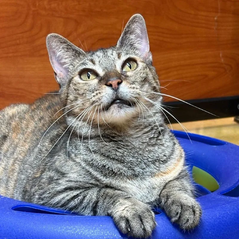 Maryanne thumbnail 6