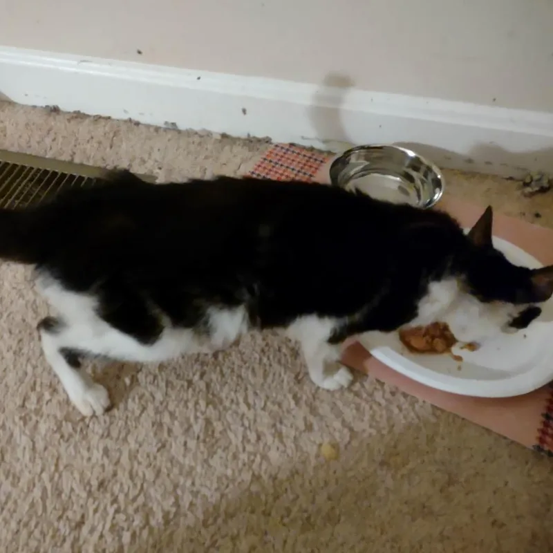 Daisy Mae thumbnail 2