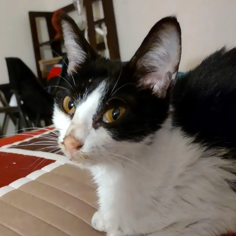 Daisy Mae thumbnail 3