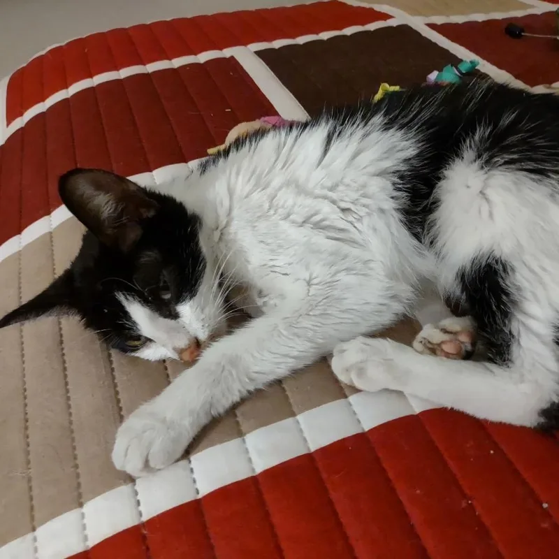 Daisy Mae thumbnail 4