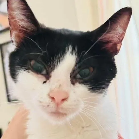 Daisy Mae thumbnail 5