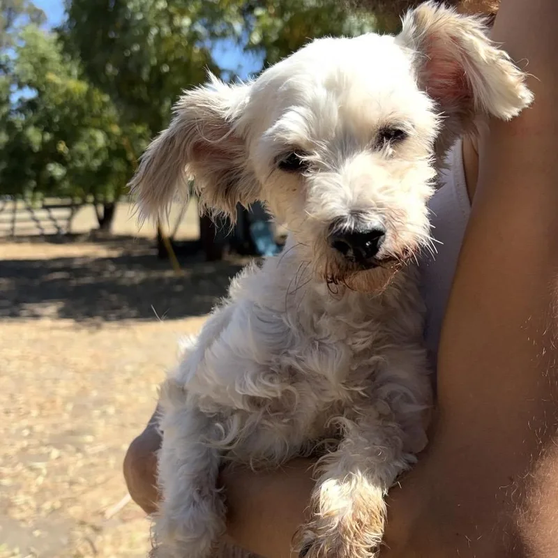 Nellie thumbnail 2